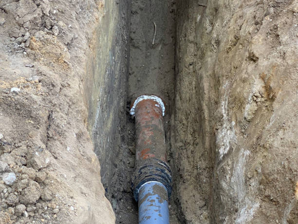 Best Flood damage cleanup  in Mont Belvieu, TX