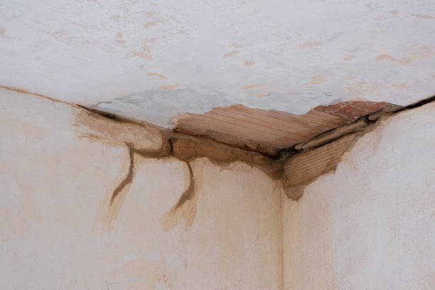 Best Water damage restoration near me  in Mont Belvieu, TX