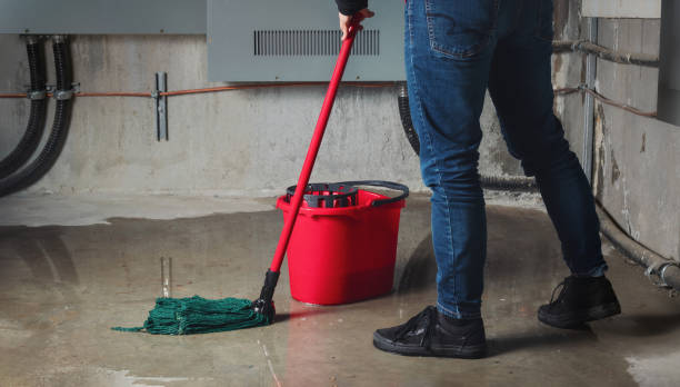 Best 24/7 water damage repair  in Mont Belvieu, TX