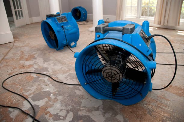  Mont Belvieu, TX Water damage restoration Pros