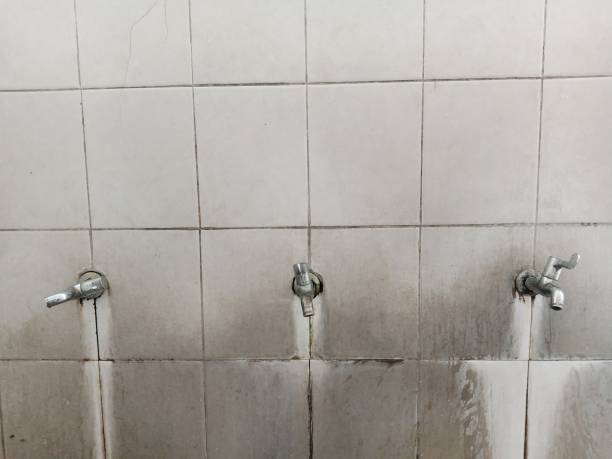 Best Carpet water damage restoration  in Mont Belvieu, TX