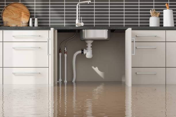 Best Water damage restoration experts  in Mont Belvieu, TX