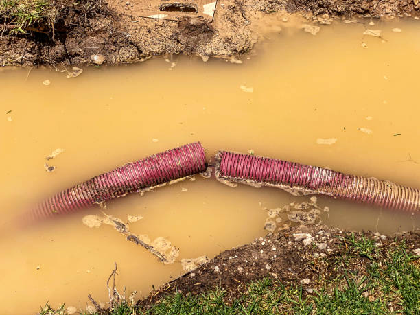 Best Basement water damage restoration  in Mont Belvieu, TX
