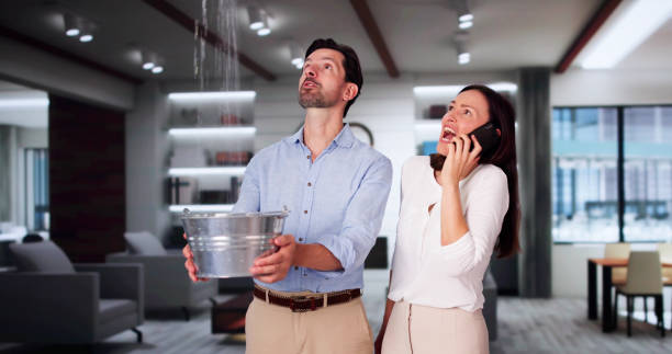 Best Professional water damage repair  in Mont Belvieu, TX